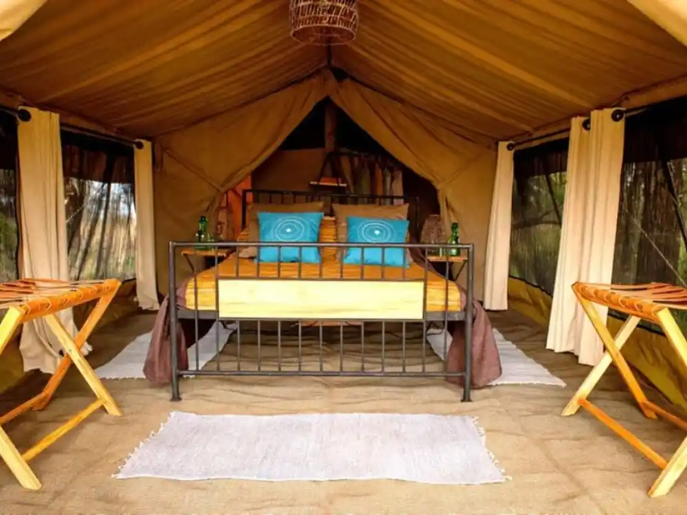 Intimate Camp Zebra - Ndutu