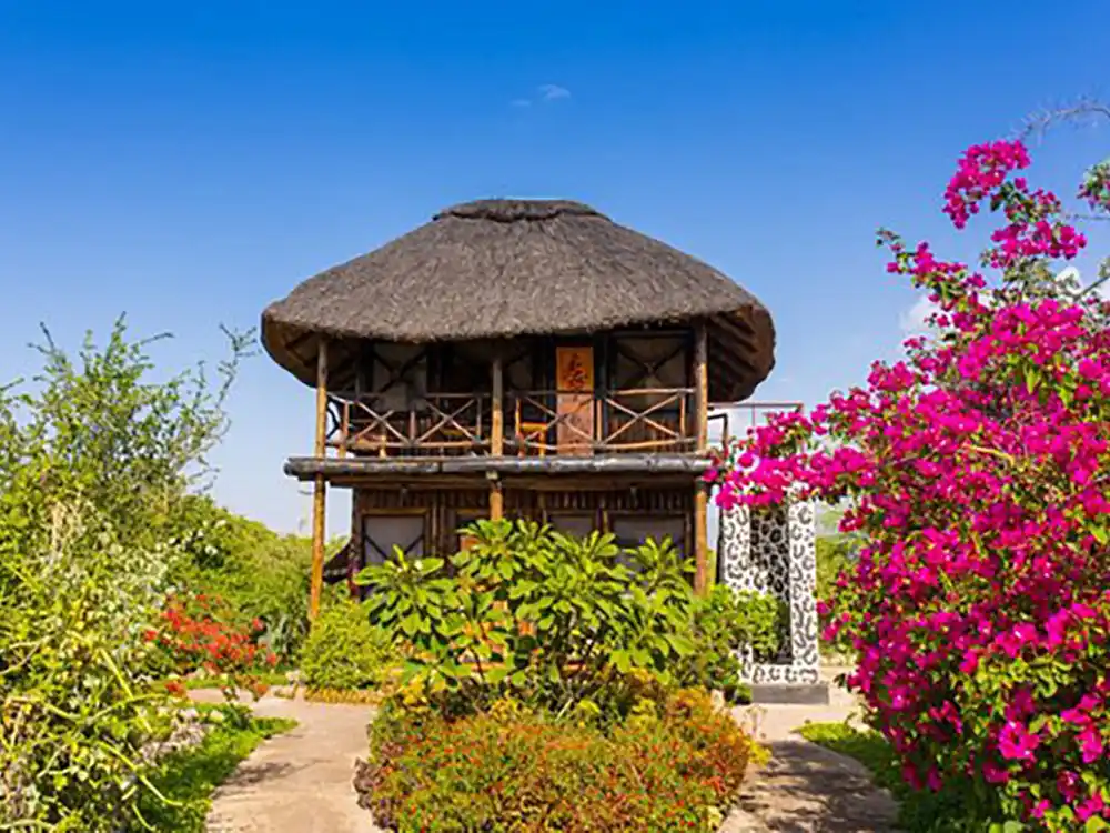 Manyara Lakeview Oasis - Lake Manyara