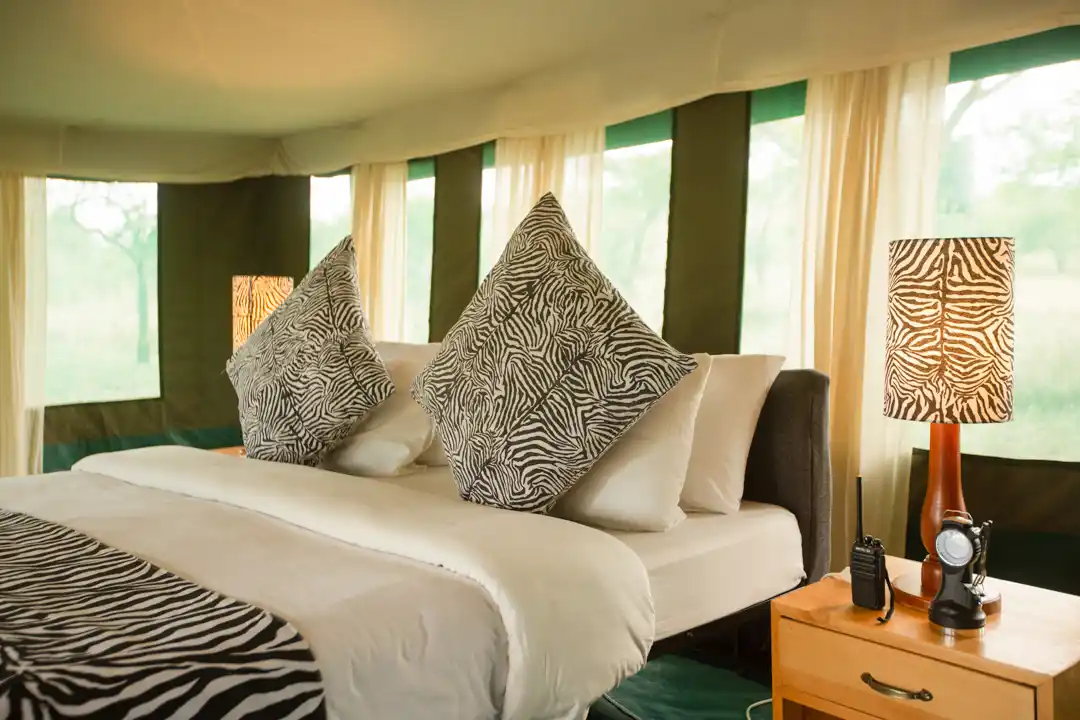 6-Day Jewels of Tanzania Safari - photo 3