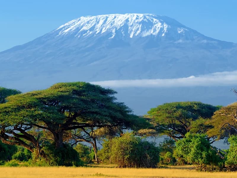 Mirerani's Tanzanite City Centre to Open Next Year - Porcupine Tours