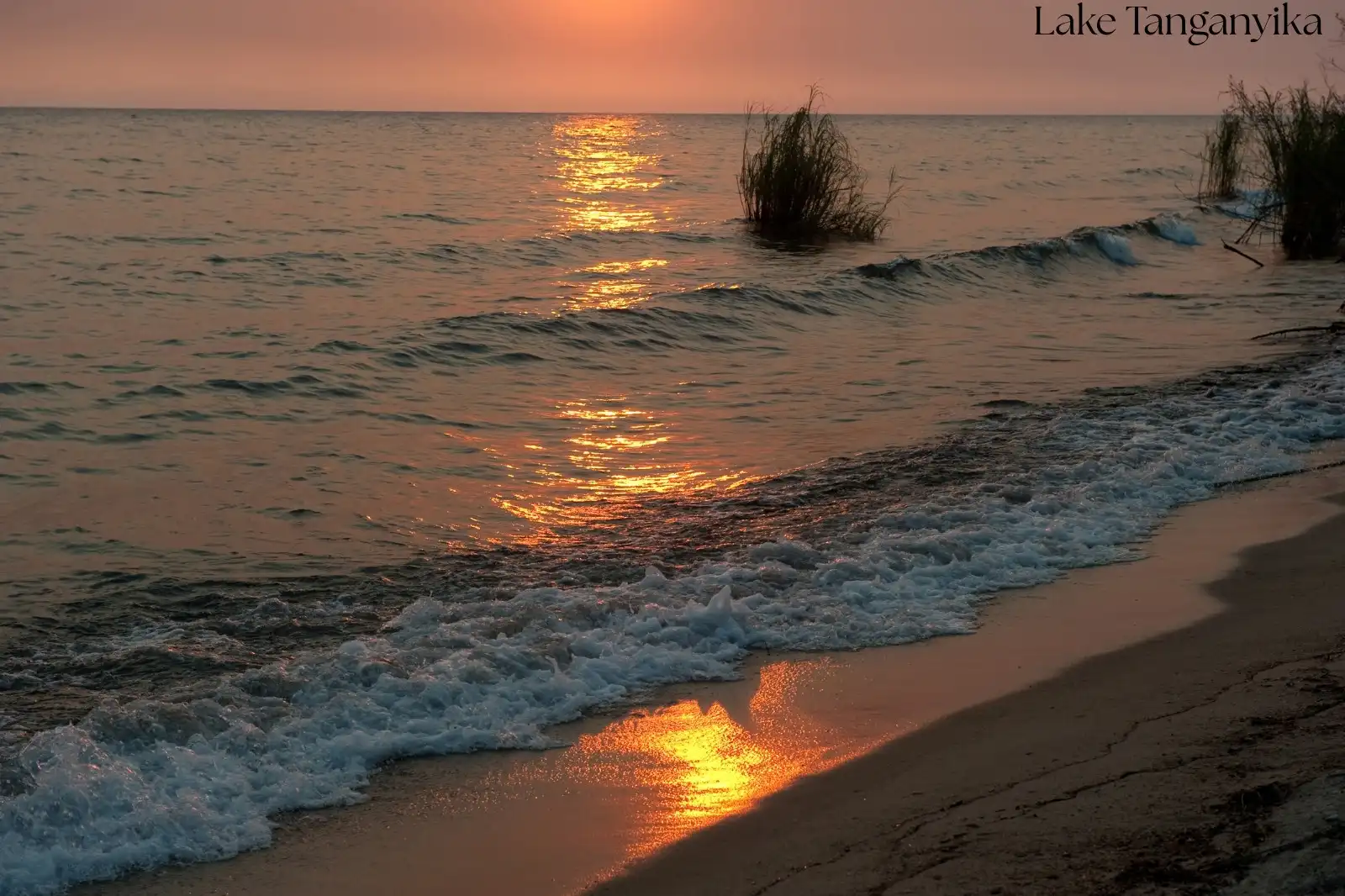 Spectacular sunset over Lake Tanganyika with golden light reflecting on the water