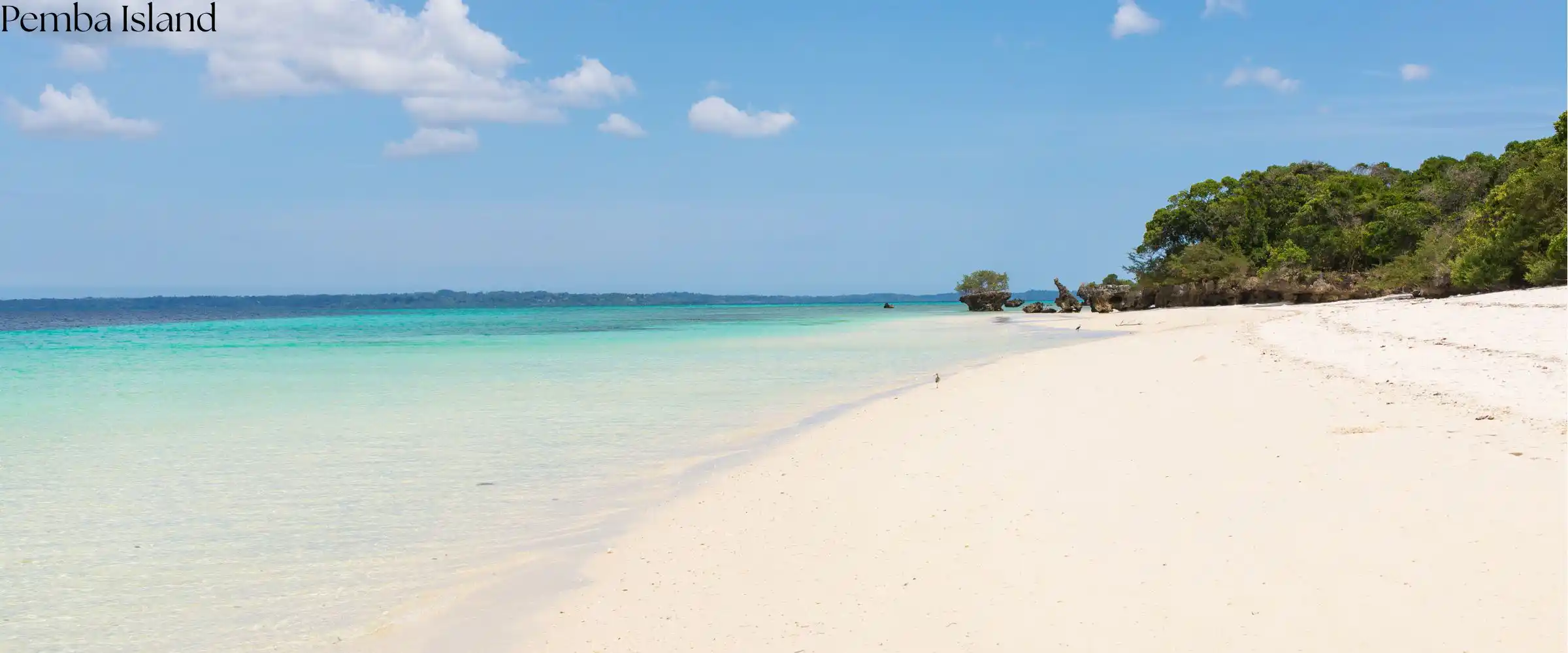 Pemba Island safari in Indian Ocean - Porcupine Tours