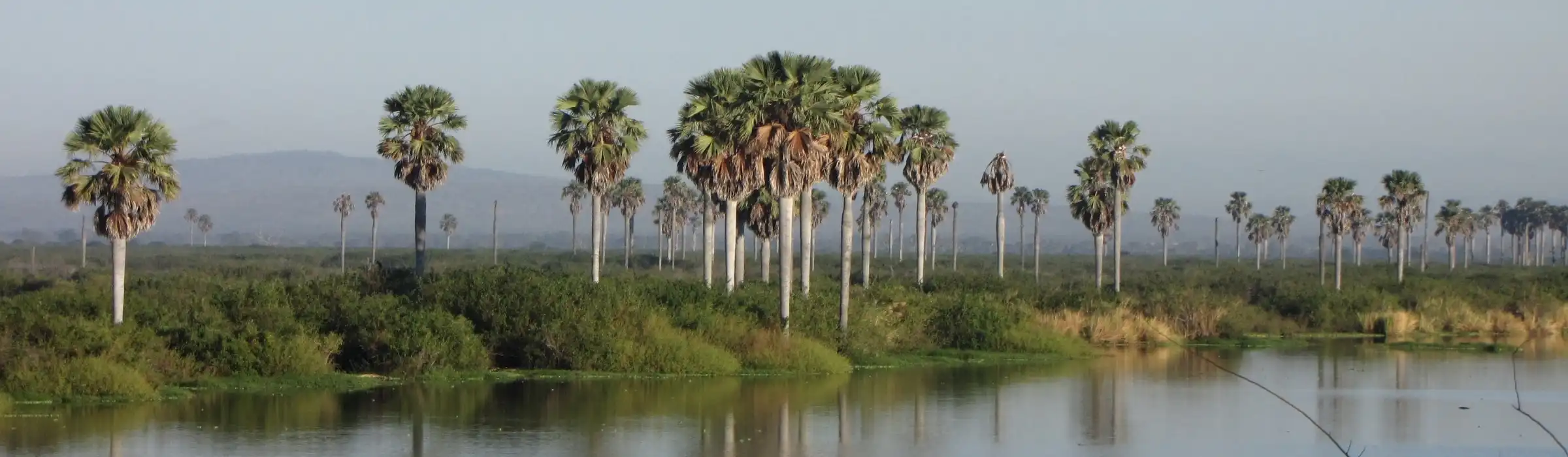 Nyerere National Park (Selous Game Reserve) safari in Tanzania - Porcupine Tours