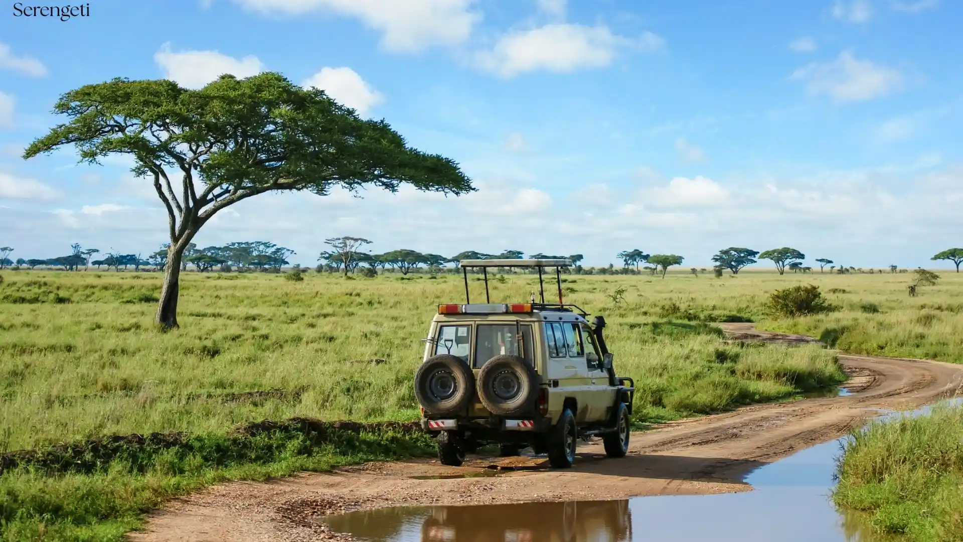 4-Day Tanzania Bush Safari - Tanzania Safari Package