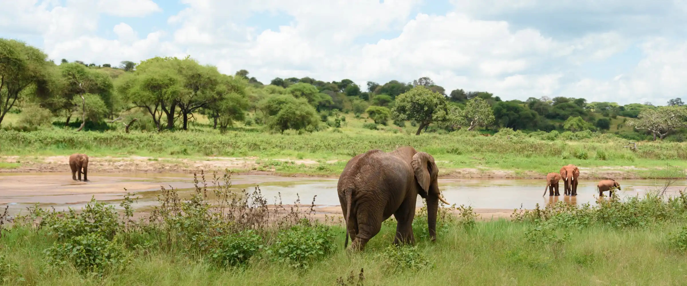 Tarangire National Park safari in Northern Tanzania - Porcupine Tours