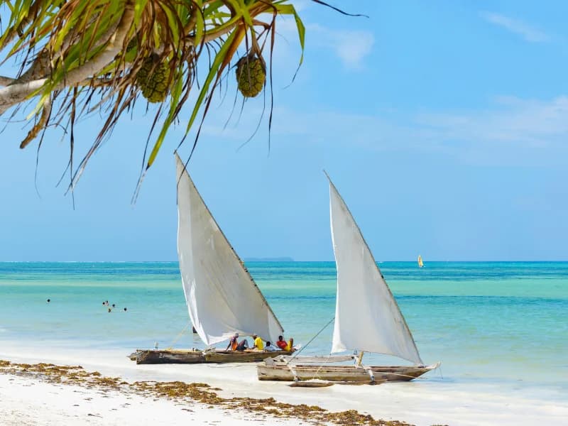 Tourism Boom: Zanzibar Nears One Million Visitors in Historic 2025 - Tanzania safari insights from Porcupine Tours