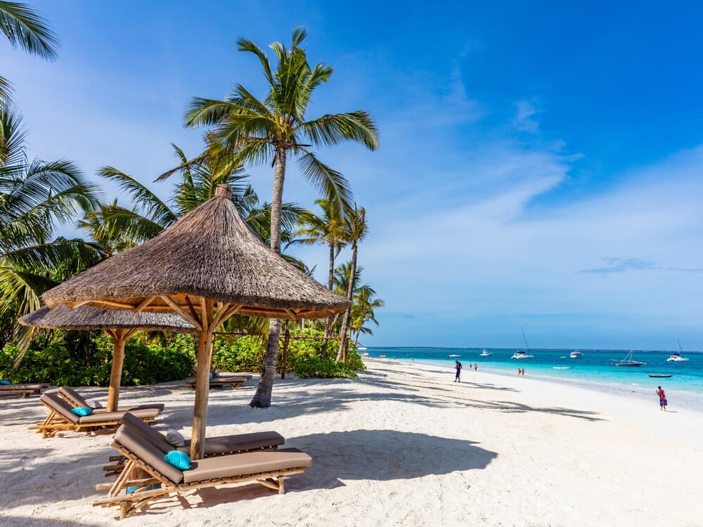 Mystery of Wildebeest migration & Zanzibar - Tanzania Safari Package