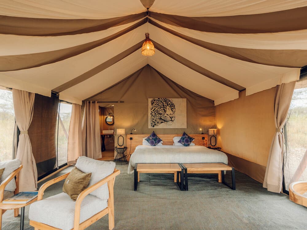 12-Day Safari Adventure with Zanzibar Bliss - photo 1