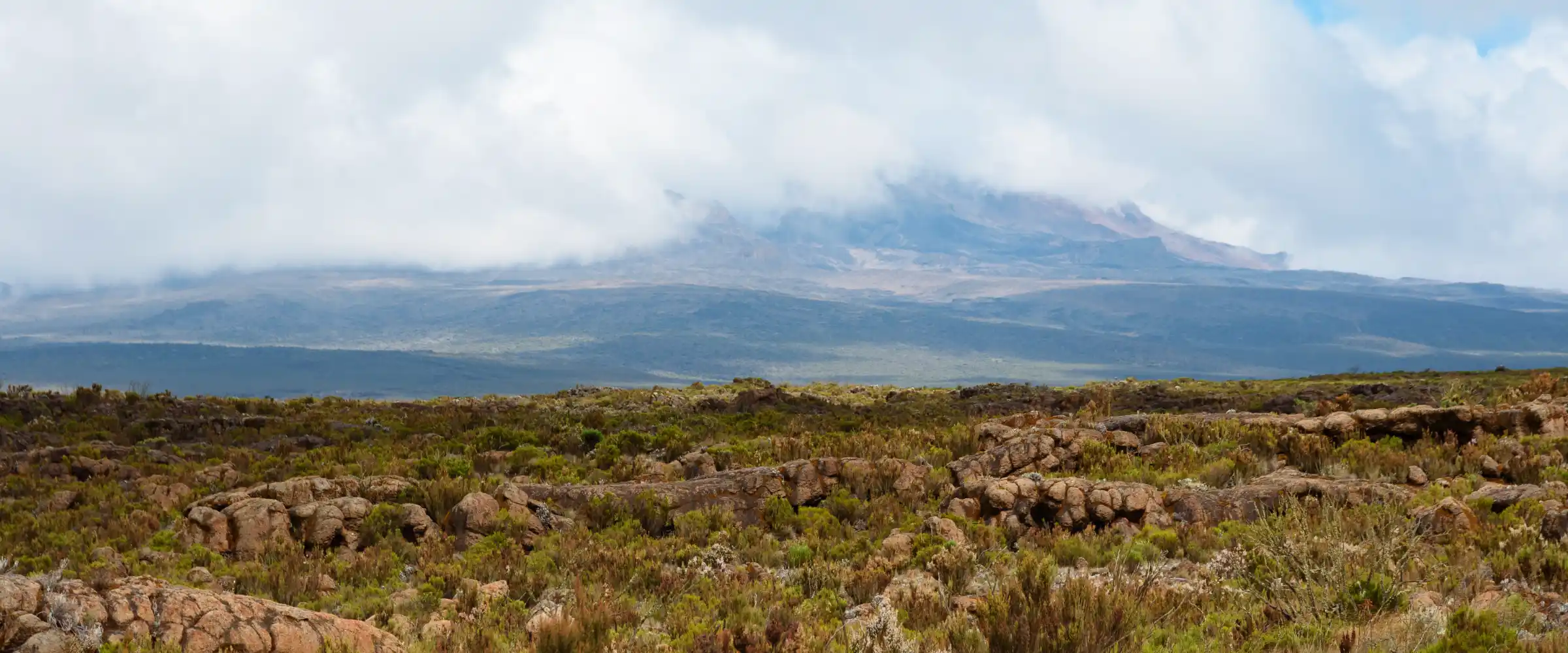 Kilimanjaro's Hidden Treasure: Trekking to Shira Camp Without Summiting - Porcupine Tours