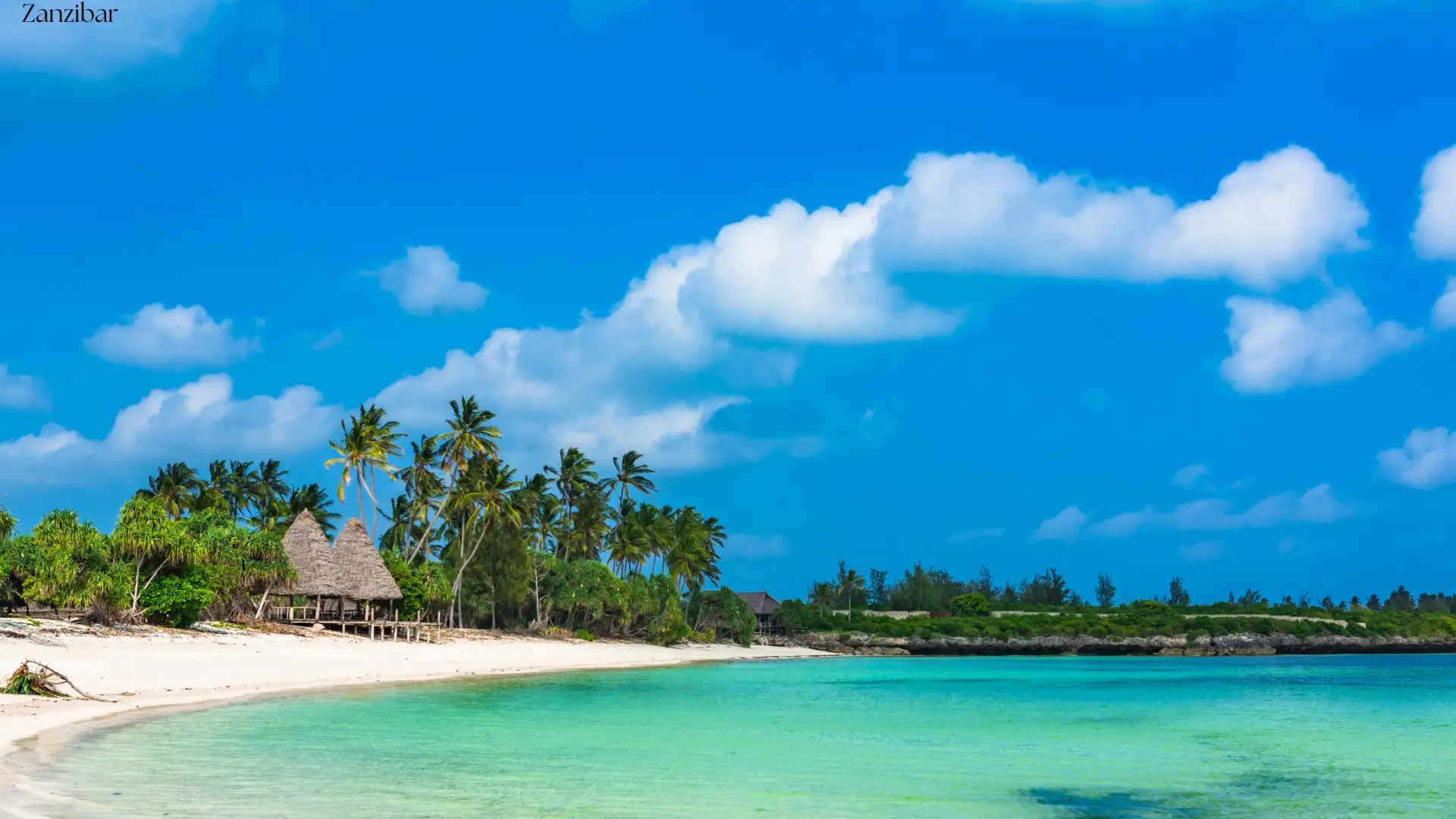 9-Day Zanzibar Archipelago Island Hopping | Pemba, Zanzibar & Mafia - Porcupine Tours